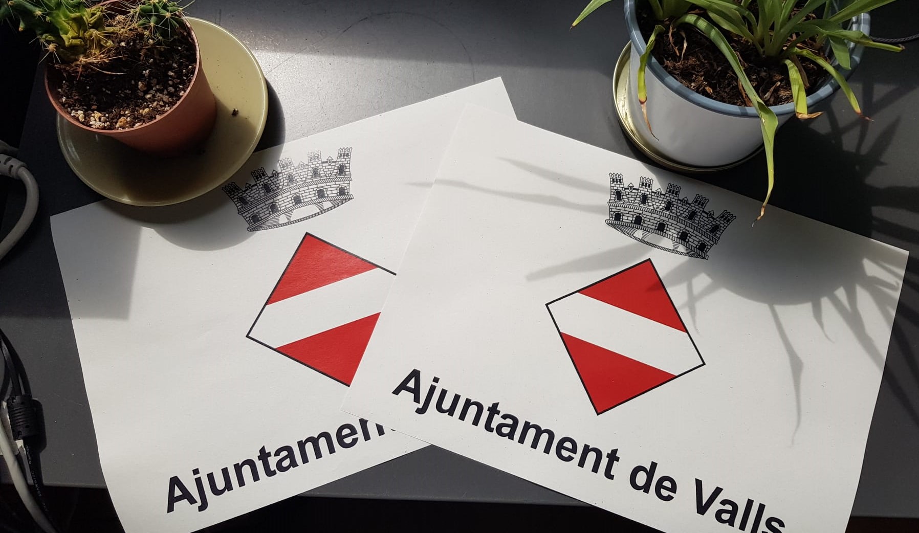 Subvencions Ajuntament de Valls pel cessament d'activitats.